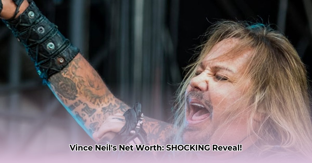 how-much-is-vince-neil-worth